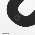 德国国家队125周年纪念球衣