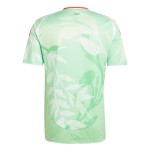 意大利女足国家队2025欧洲杯男子球迷版客场球衣