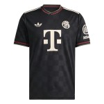 FC Bayern Munich 2025-26 Season Fan Edition Second Away Jersey